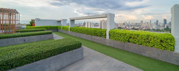 extenzív intenzív zöldtető szigetelés igényesen